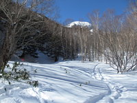 Konsei-no-mori snowshoeing course