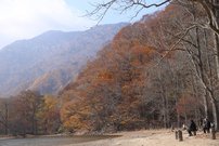 201510212