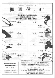 楓通信091号