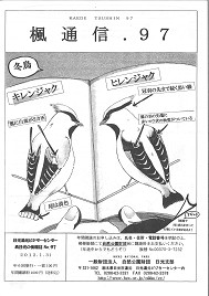 楓通信097号