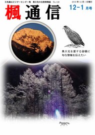 楓通信126号　　　　　　平成28年春～秋の振り返り