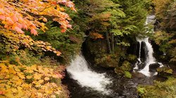 【10/6】竜頭ノ滝・戦場ヶ原・小田代原・紅葉情報