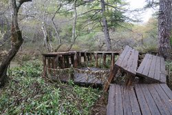 【12/28】Information about hiking trails after the typhoon