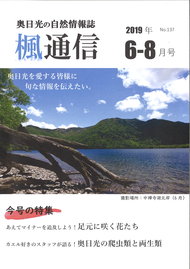 楓通信137号　　　　　　足元に咲く花たち