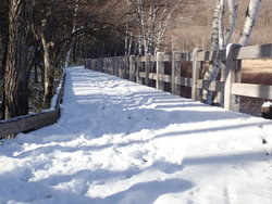 【12/25】戦場ヶ原・小田代原歩道状況