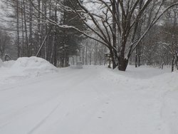 【1/5】湯元降雪状況