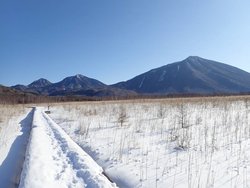 【1/6】戦場ヶ原 歩道状況