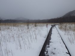 【1/23】戦場ヶ原歩道状況