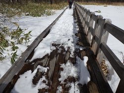 【3/7】小田代原 歩道状況