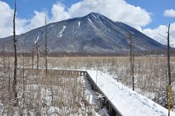 【3/15】戦場ヶ原 歩道状況