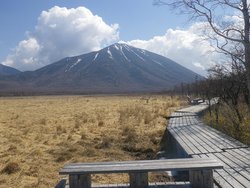 【4/4】戦場ヶ原歩道状況