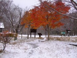 【11/4】湯元は雪景色