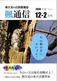 楓通信143号　　　　　奥日光の氷の芸術作品