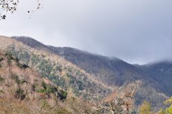 【10/20】前白根山方面の様子