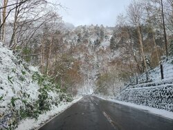 【10/21】金精道路の様子