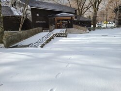 【11/26】今朝の湯元の様子