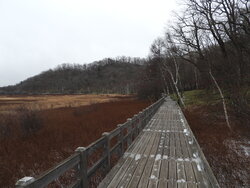 【12/6】小田代原 歩道状況