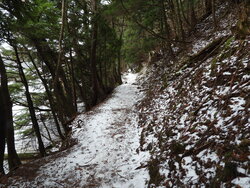 【12/6】湯ノ湖 自然情報・歩道状況