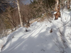 【12/21】刈込湖 歩道状況・自然情報