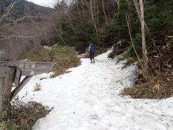 【5/7】刈込湖コース歩道状況