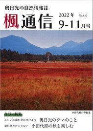 楓通信150号　　　　　小田代原の秋を楽しむ　