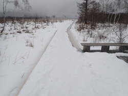 【1/24】戦場ヶ原・小田代原 歩道状況