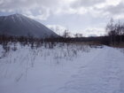 【2/15】戦場ヶ原　歩道状況