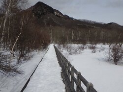 【2/24】小田代原　歩道状況