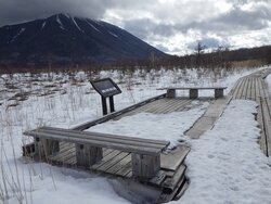 【3/2】戦場ヶ原　歩道状況・自然情報