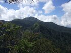 【9/13】温泉岳 自然情報
