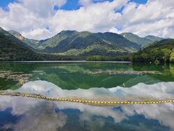 【9/16】湯ノ湖　自然情報・歩道状況