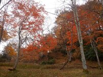 湯ノ湖の写真