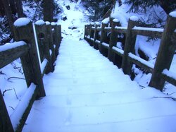 【12/1】刈込湖　歩道状況