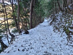 【12/6】湯ノ湖　自然情報・歩道状況