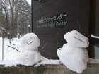 【12/23】湯元積雪状況