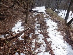 【2/20】湯元スノーシューコース（石楠花平コース）一時閉鎖のお知らせ