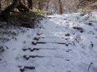 【2/24】湯滝～泉門池間の歩道状況