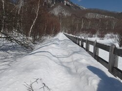 【3/14】小田代原　歩道状況