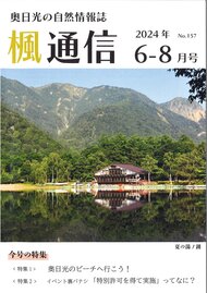 楓通信156号　　　　　奥日光のビーチへ行こう！