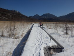 【1/24】戦場ヶ原　歩道状況・自然情報