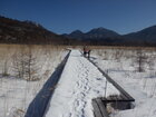 【1/24】戦場ヶ原　歩道状況・自然情報