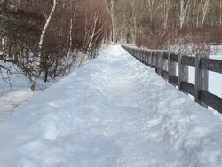 【1/27】小田代原　歩道状況