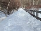 【1/27】小田代原　歩道状況