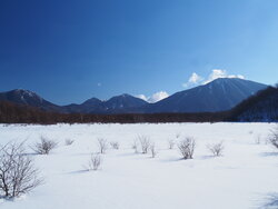 【2/17】小田代原　歩道状況