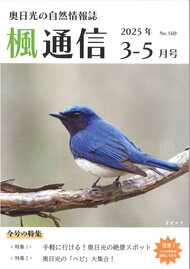 楓通信160号　　　　　手軽に行ける！奥日光の絶景スポット