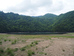 【7/2】千手の森歩道　歩道状況・自然情報