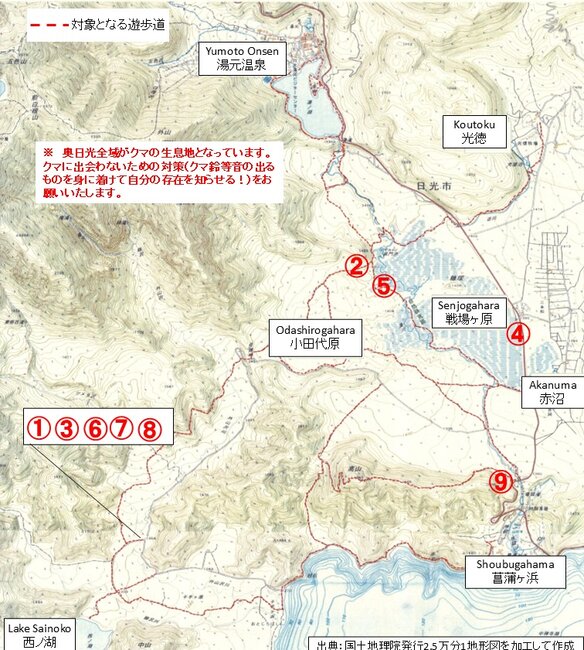 クマ目撃マップ