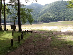 【7/16】千手の森歩道　歩道状況・自然情報
