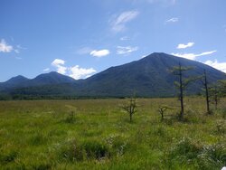 【8/15】戦場ヶ原　自然情報