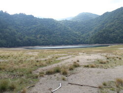 【8/31】千手の森歩道　歩道状況・自然状況